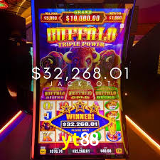 A Experiência Imersiva dos Cassinos Ao Vivo no yt88